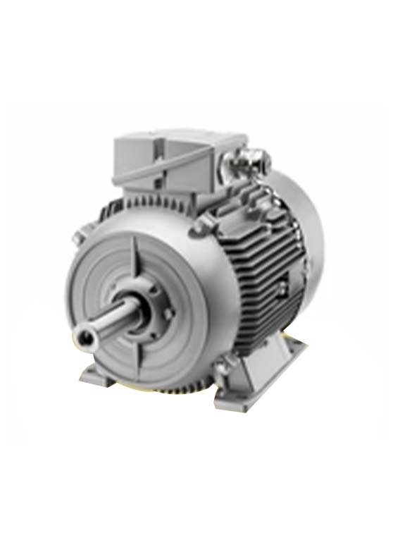 Siemens Motor